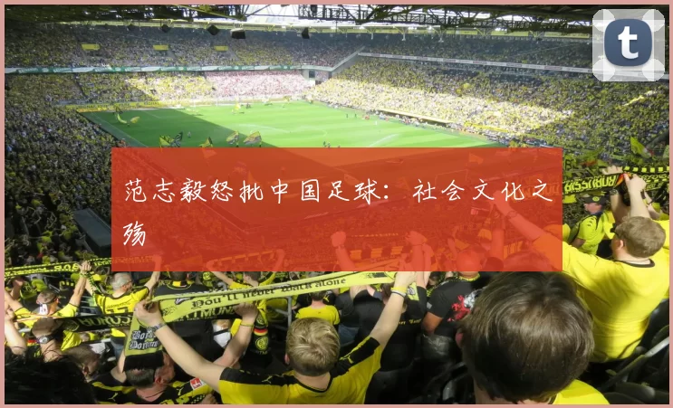 范志毅怒批中国足球：社会文化之殇