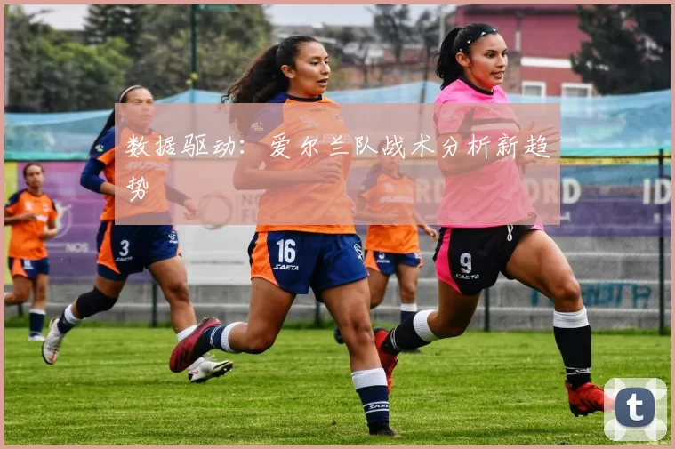 数据驱动：爱尔兰队战术分析新趋势
