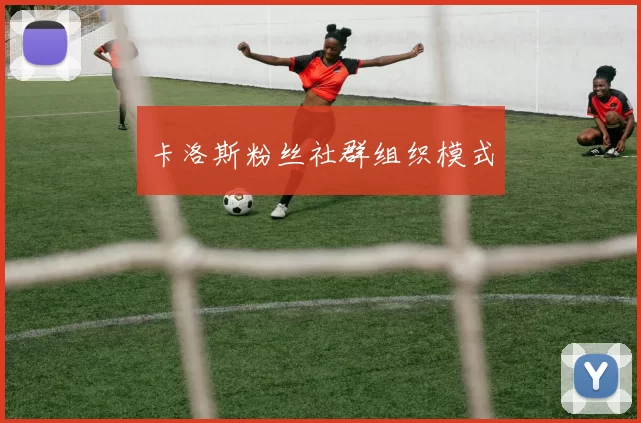卡洛斯粉丝社群组织模式